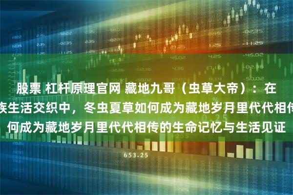 股票 杠杆原理官网 藏地九哥（虫草大帝）：在青藏高原四季轮回与家族生活交织中，冬虫夏草如何成为藏地岁月里代代相传的生命记忆与生活见证