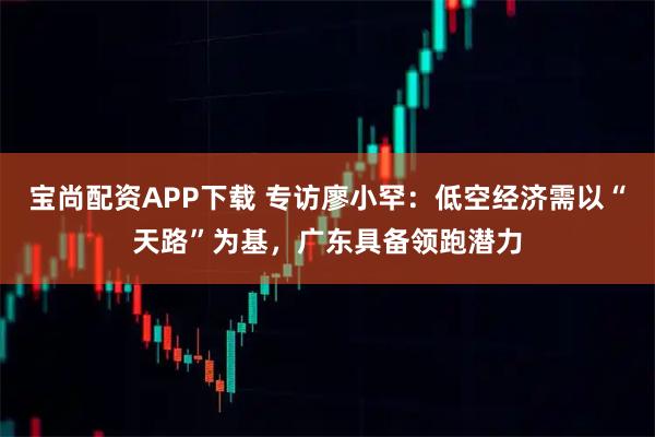 宝尚配资APP下载 专访廖小罕：低空经济需以“天路”为基，广东具备领跑潜力