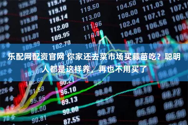 乐配网配资官网 你家还去菜市场买蒜苗吃?聪明人都是这样养,再也不用买了